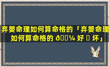 弃婴命理如何算命格的「弃婴命理如何算命格的 🐼 好 ☘ 坏」